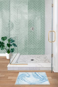 a bathroom with a shower, rug and potted plant