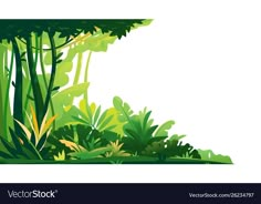 an abstract jungle background with green plants