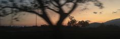 the sun is setting behind a tree with mountains in the background