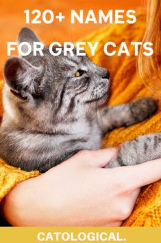 a woman holding a gray cat with the caption's name for grey cats