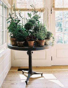 there is a table with plants on it in front of the window and some windowsills