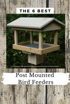 the 6 best post mounted bird feeders for your garden or yard in one place