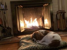 a dog laying on a blanket in front of a fire place with the fireplace lit