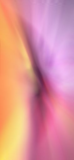 a blurry image of an orange and pink flower with the word love written on it