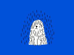 a white dog sitting in the rain with its head under an umbrella on a blue background