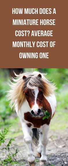 a brown and white horse with long hair walking down a dirt road next to grass