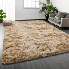 a living room with two couches and a rug on the floor in front of a window