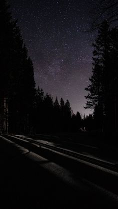 the night sky is filled with stars and trees