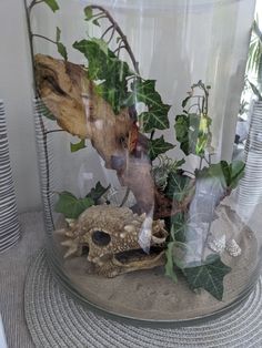 there is a glass jar with plants inside