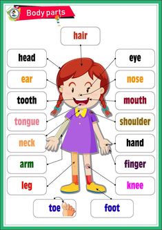 Parts Of The Body For Kids, Body Parts Preschool Activities, Body Parts For Kids, Preschool Charts, Body Parts Preschool, Teach English To Kids, Grammar For Kids, English Activities For Kids, Kids Worksheets Preschool