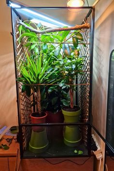 several potted plants sit in a cage on a shelf next to a computer keyboard