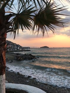 the sun is setting over the ocean with palm trees on the shore and houses in the distance