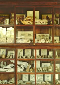 an old wooden bookcase filled with lots of books and knick - knacks