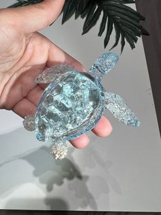 Ocean House Decor, Surf Room Decor, Shipwreck Beach, Beach Room Decor, Surf Room, Ocean Turtle, Zakynthos Greece, Shell Crafts Diy, Crystal Figurines