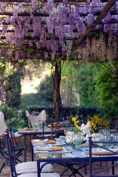 an outdoor dining area with tables, chairs and wistery trees in the background