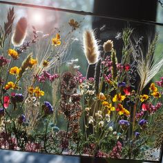 an image of wildflowers and grasses in the sun through a glass window frame