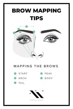 Diagram of the eye area, outlining the different parts of the brow  such as the start, arch, tail, peak, and body and where their locations are on the brow. text on photo reads "brow mapping tips How To Measure Brows Perfect Eyebrows, Brow Mapping With Thread, Eye Brow Shaping For Round Face, The Perfect Eyebrow Shape, Brow Elimination, Perfect Brow Shaping, Brow Shaping Tutorial Step By Step, Brow Shaping Guide, How To Know What Eyebrow Shape Suits You