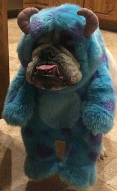 a dog dressed in a blue monster costume standing on its hind legs with it's mouth open