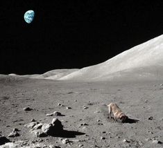 an animal is walking on the moon's surface in front of some distant objects