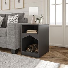 a living room scene with focus on the dog house