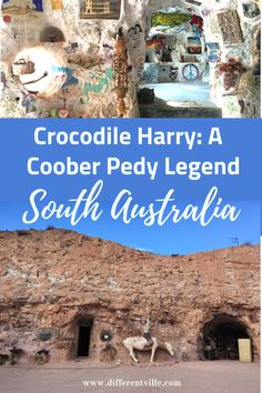 the amazing crocodle harry, coober pedy in south australia with text overlay