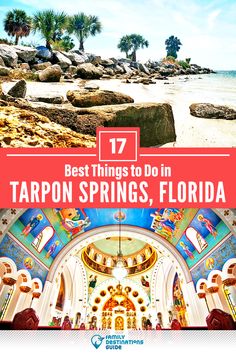 the top things to do in tarpon springs, florida