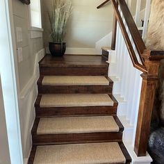 there is a dog sitting on the stairs next to the carpeted steps in this house