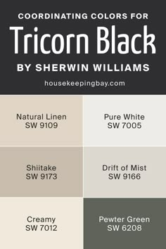 Coordinating Colors for Tricorn Black SW 6258 by Sherwin Williams Tricorn Black Vs Caviar, Pewter Green Sw, Drift Of Mist, Sherwin Williams Creamy, Kitchen Color Ideas, Urbane Bronze, Tricorn Black, Pewter Green, Colors For Living Room