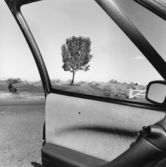 the view from inside a car looking at a lone tree