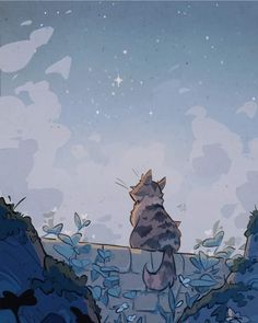 a cat sitting on top of a rock looking up at the stars in the sky