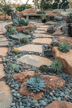 A refreshing rock garden with green and red succulents nestled between large, light-colored stones. Succulent Rock Garden Ideas, Succulent Rock Garden, Rock Garden Ideas, Succulent Landscape Design, Waterwise Garden, Succulent Landscaping, Rock Garden Design, Rock Gardens, Colorful Succulents