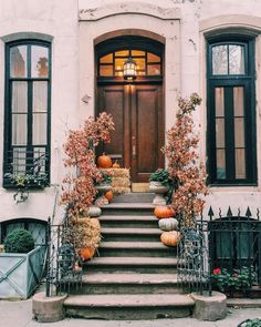 an instagram page with pumpkins and flowers on the steps