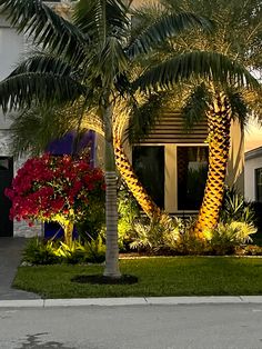 a palm tree in front of a house with red and yellow flowers on the grass