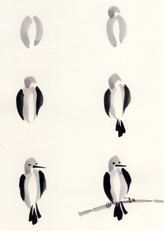 six birds sitting on top of a tree branch in different stages of formation and sizes