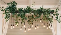 an outdoor wedding with hanging lights and greenery