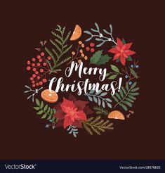 merry christmas greeting card with poinsettis and leaves on dark background eps file