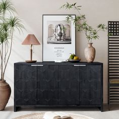 a black cabinet sitting in the middle of a room next to a lamp and potted plant