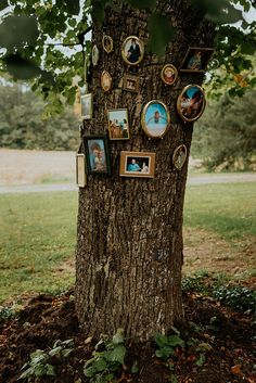 a tree with many pictures on it