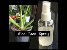 Hi Everyone!!Welcome back to Channel. Natural Aloe Vera gel from Aloe plant.Instagram page: limelight_creations_ Also follow me on : itssoniyapatel https://w... Aloe Vera Spray For Skin, How To Use Aloe Vera Gel For Face, How To Make Aloe Vera Gel At Home, Diy Facial Moisturizer, Aloe Vera Spray, Face Pack At Home, Aloa Vera, Plant Instagram, Aloe Vera Diy