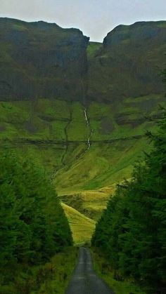 an empty road in the middle of some trees and grass with mountains in the background