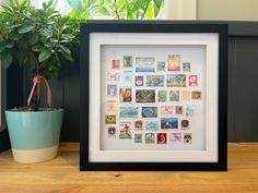 a potted plant sitting on top of a wooden table next to a framed photo