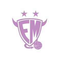 a purple logo with stars on it and a basketball ball in the foreground that says fw