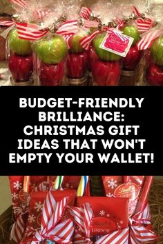 the words budget - friendly brilliant christmas gift ideas that won't empty your wallet