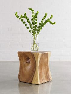 a vase filled with green plants sitting on top of a table