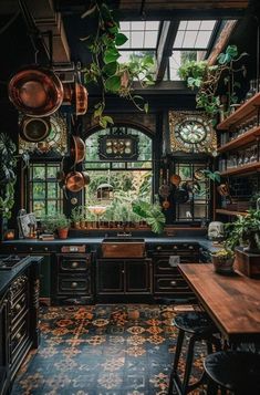 a kitchen with lots of potted plants hanging from the ceiling and windows above it