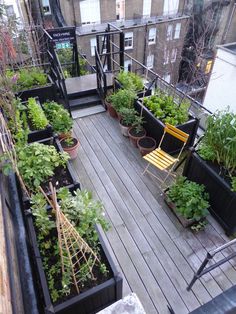 a rooftop garden with lots of plants and potted plants on the top floor,