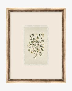 a framed painting with flowers and leaves on it