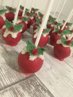 there are many candy apples with holly decorations on them