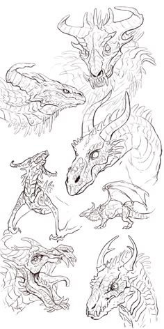 some drawings of different types of dragon heads