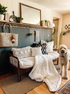 a dog standing in front of a couch covered with blankets and throw pillows on the floor